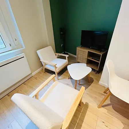 Apartamento La Petite Rhonelle - En Hypercentre