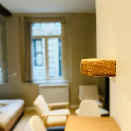 La Petite Rhonelle - En Hypercentre Apartamento *